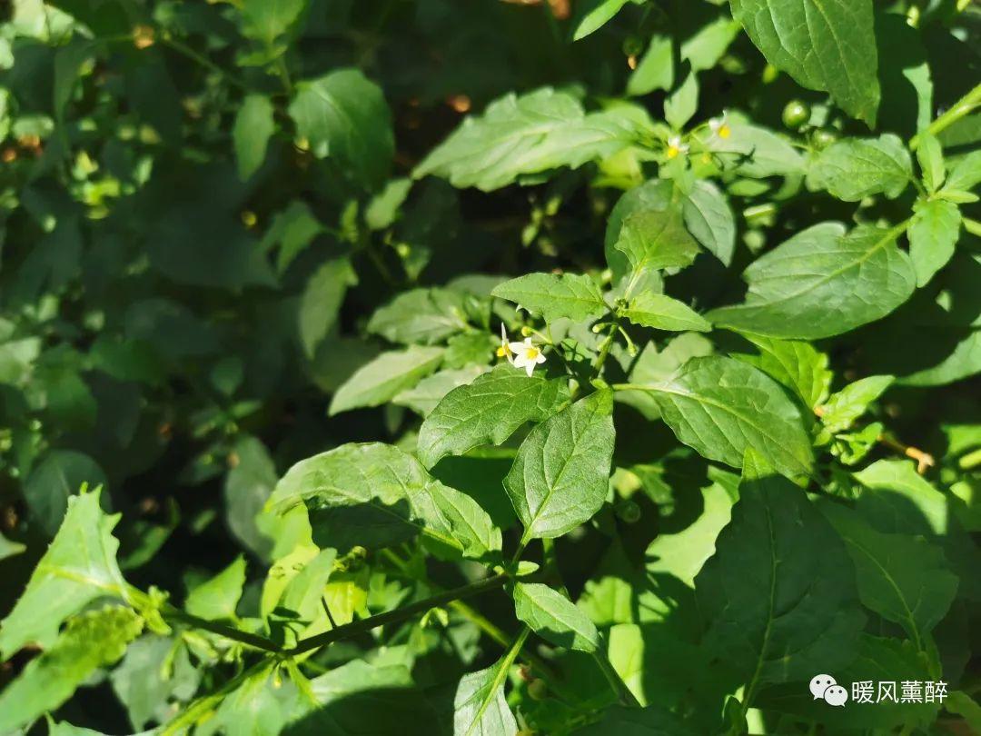 有一种感觉，萦绕心间，却又倏忽消逝无形，叫人难以言语(图1)