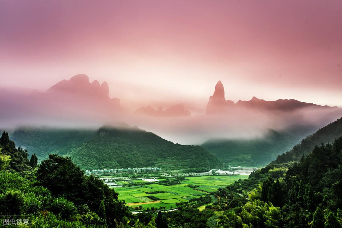 放生的意义：莫道群生性命微(图6)