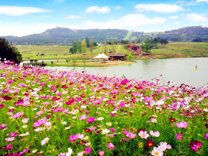 抓不住你的手，也放不下你的温柔，时光走过经年，可我还是很想你(图3)