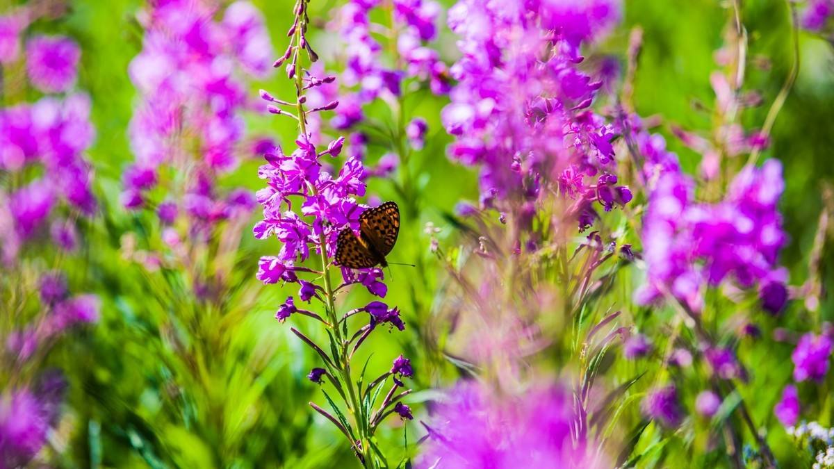 抓不住你的手，也放不下你的温柔，时光走过经年，可我还是很想你(图4)