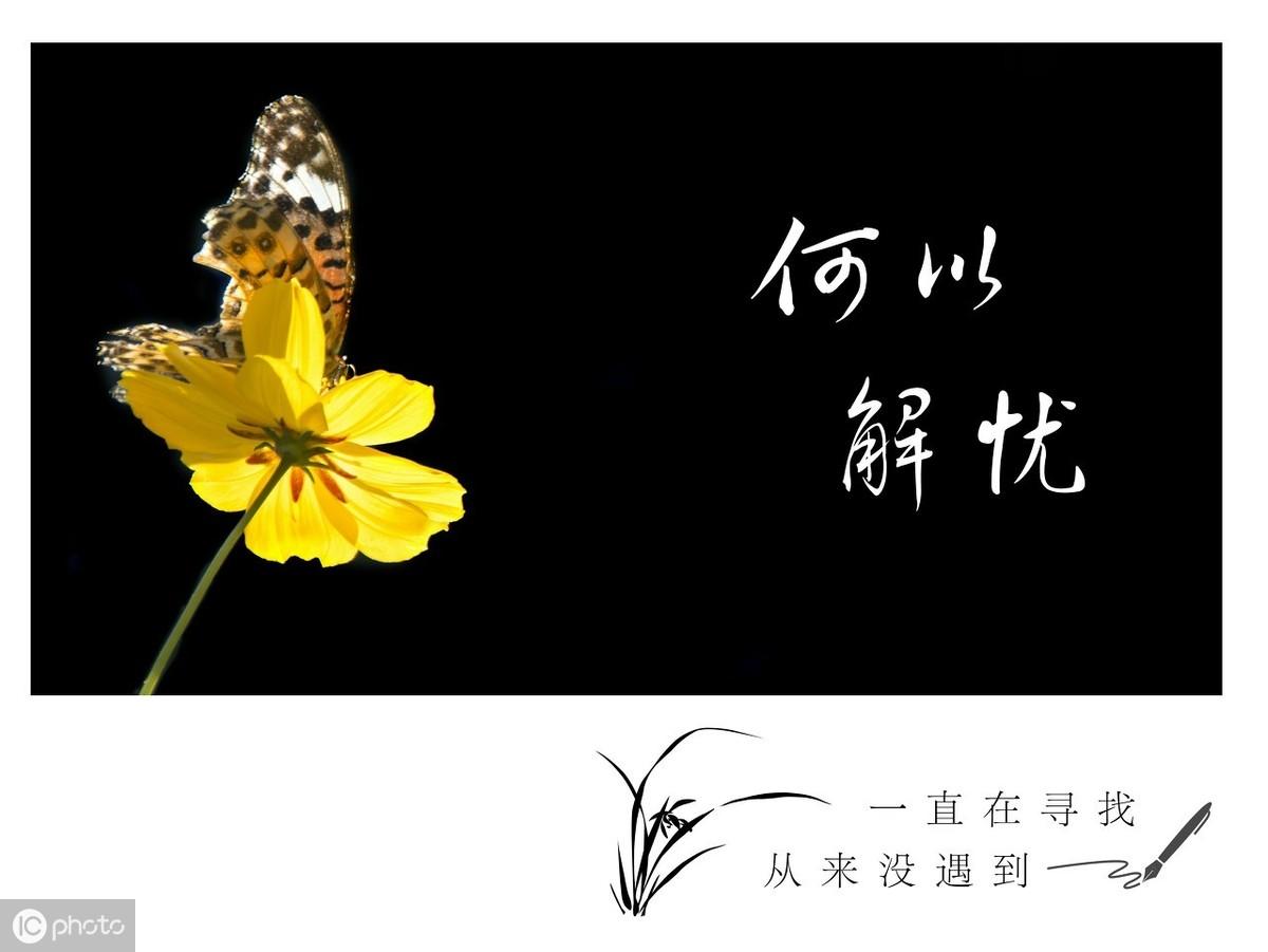 左手的相思握不住右手的牵挂(图1)