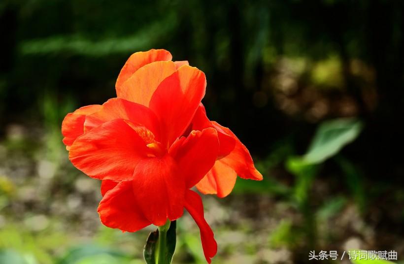 《弟子规》中的经典十句,句句都是精髓(国学经典)(图1) 《弟子规》中的经典十句,句句都是精髓(国学经典)(图1)