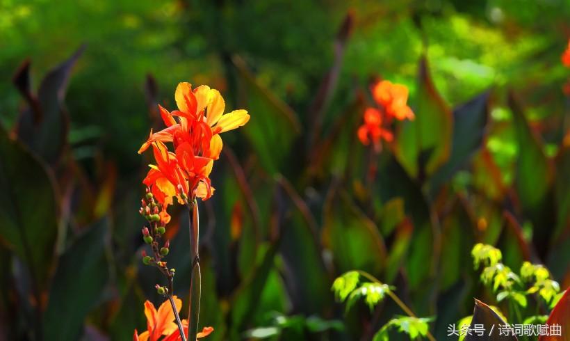 《弟子规》中的经典十句,句句都是精髓(国学经典)(图2) 《弟子规》中的经典十句,句句都是精髓(国学经典)(图2)
