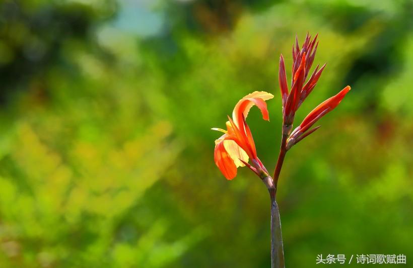 《弟子规》中的经典十句,句句都是精髓(国学经典)(图3) 《弟子规》中的经典十句,句句都是精髓(国学经典)(图3)