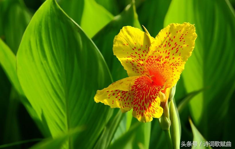 《弟子规》中的经典十句,句句都是精髓(国学经典)(图4) 《弟子规》中的经典十句,句句都是精髓(国学经典)(图4)