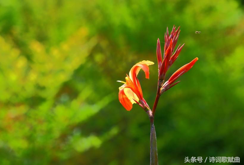 《弟子规》中的经典十句,句句都是精髓(国学经典)(图5) 《弟子规》中的经典十句,句句都是精髓(国学经典)(图5)