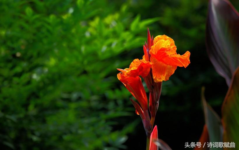 《弟子规》中的经典十句,句句都是精髓(国学经典)(图6) 《弟子规》中的经典十句,句句都是精髓(国学经典)(图6)