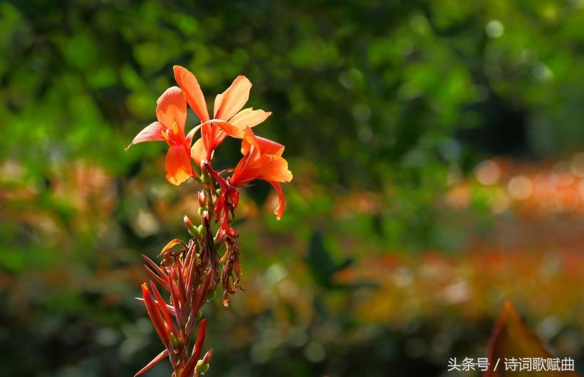 《弟子规》中的经典十句,句句都是精髓(国学经典)(图7) 《弟子规》中的经典十句,句句都是精髓(国学经典)(图7)