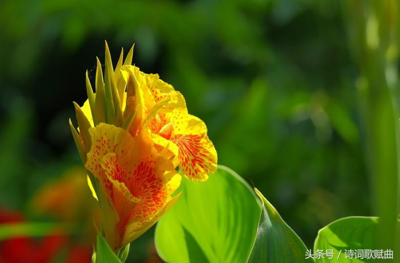 《弟子规》中的经典十句,句句都是精髓(国学经典)(图9) 《弟子规》中的经典十句,句句都是精髓(国学经典)(图9)