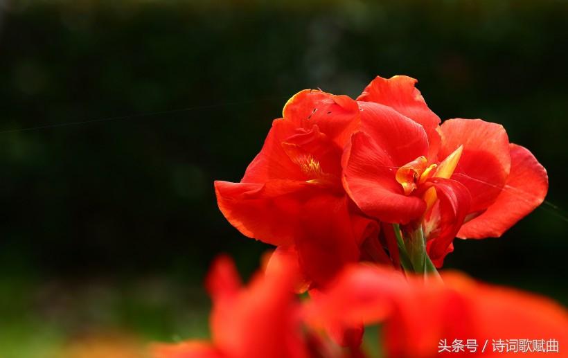 《弟子规》中的经典十句,句句都是精髓(国学经典)(图10) 《弟子规》中的经典十句,句句都是精髓(国学经典)(图10)