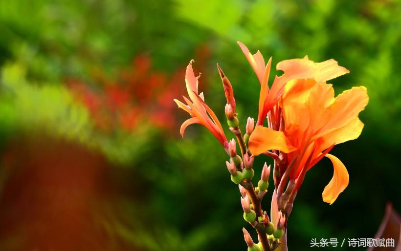 《弟子规》中的经典十句,句句都是精髓(国学经典)(图11) 《弟子规》中的经典十句,句句都是精髓(国学经典)(图11)