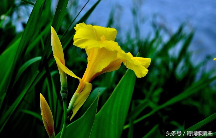 《弟子规》中的经典十句,句句都是精髓(国学经典)(图12) 《弟子规》中的经典十句,句句都是精髓(国学经典)(图12)