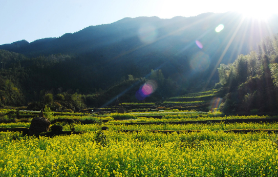 《道德经》最高智慧的：悟懂这4句话，助你人生之路稳中求胜(图4)