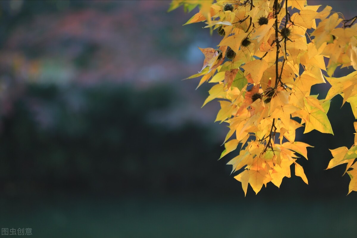苟利于民，不必法古；苟周于事，不必循旧，求变名句(图1)