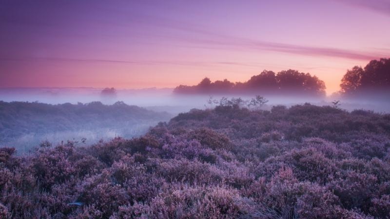 目标在远方，心在路上(图2)