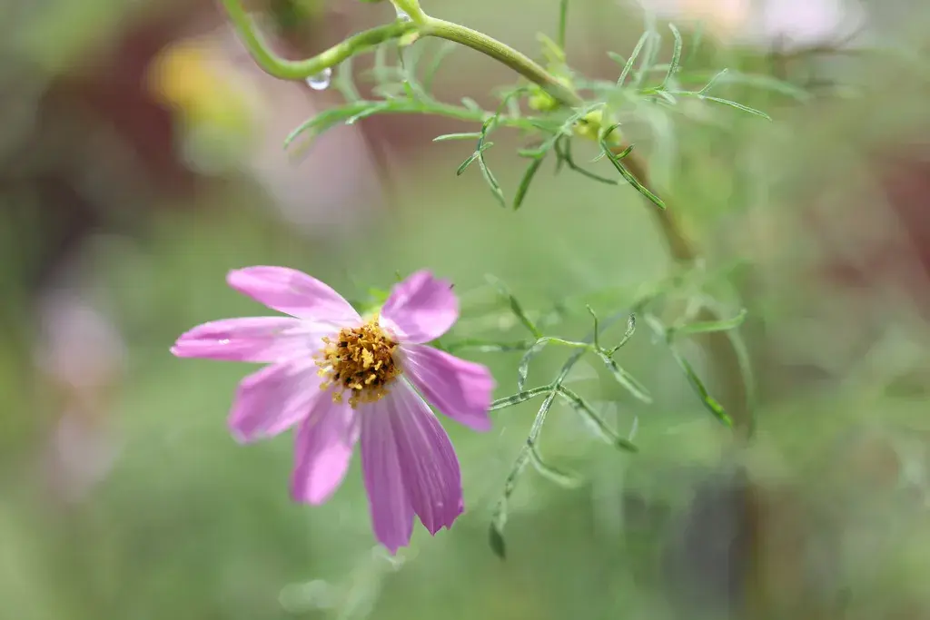 赏读：心在路上，路在心里(图1)