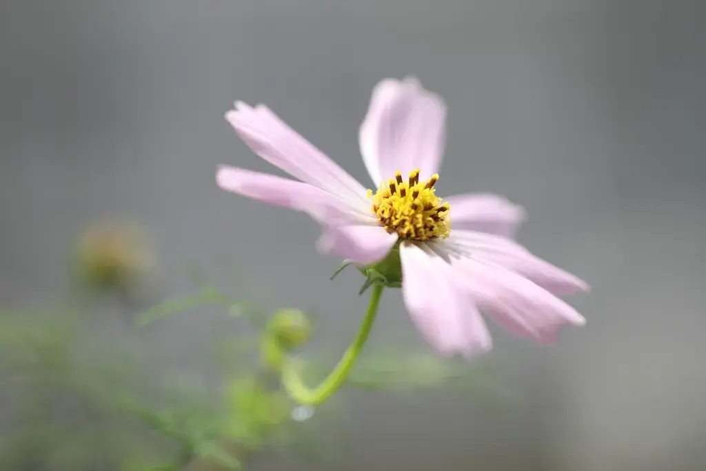 赏读：心在路上，路在心里(图2)