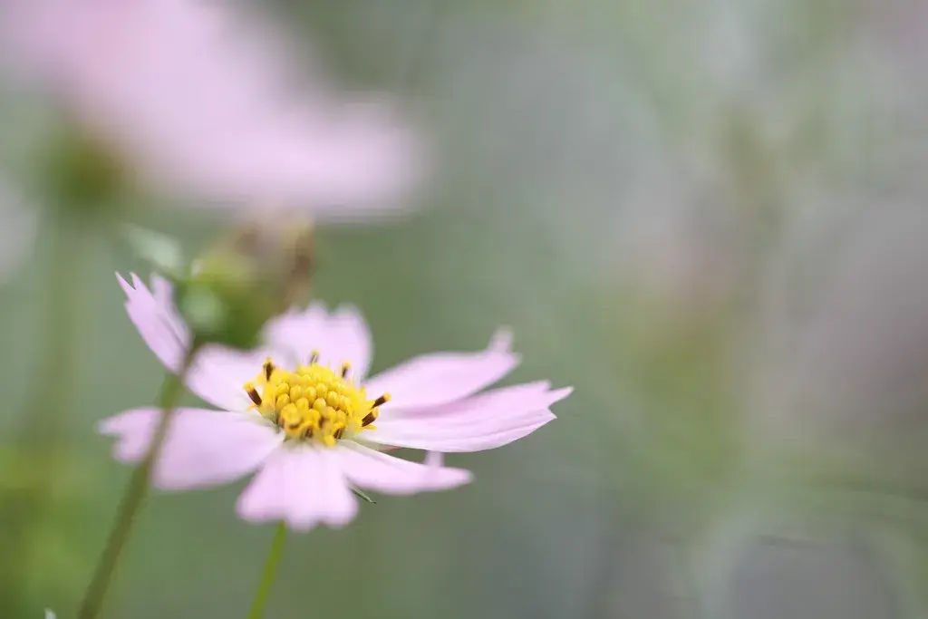 赏读：心在路上，路在心里(图3)