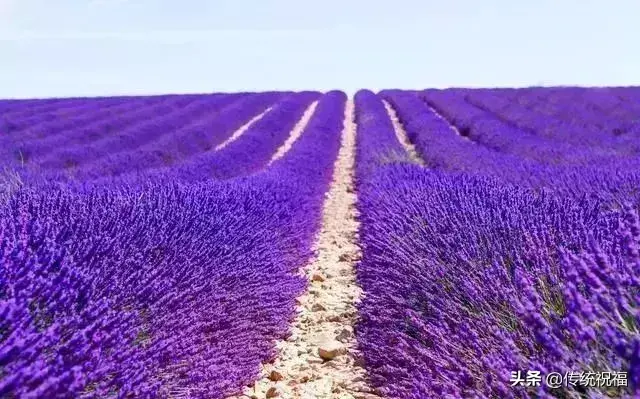 路在脚下，走太急，脚痛；心在路上，想太多，累心(图8)