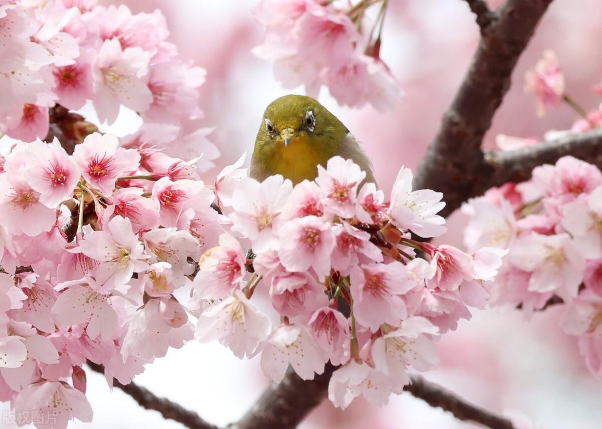环境在变化，人的心境在变化(图2)
