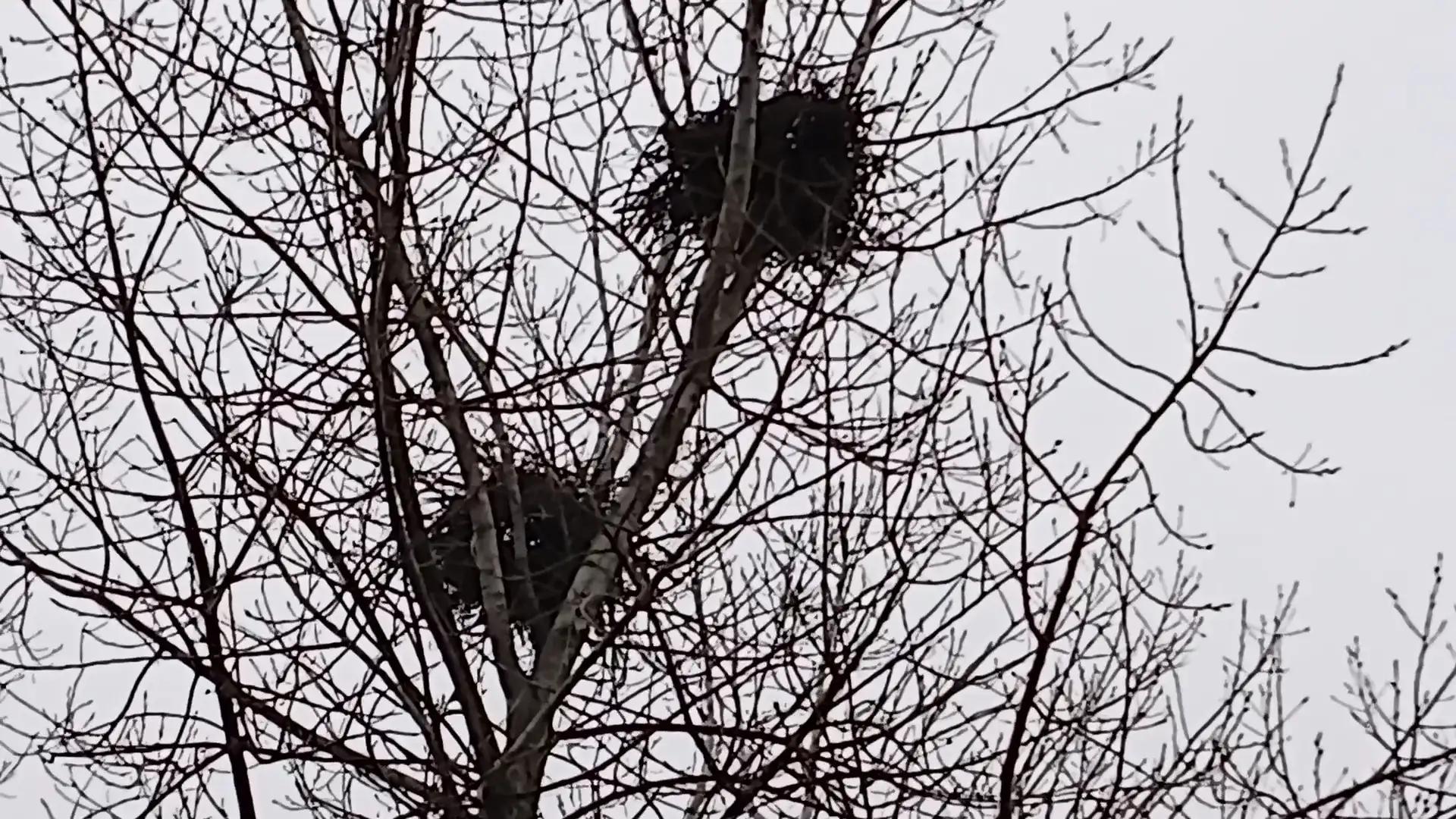 环境在变化，人的心境在变化(图3)