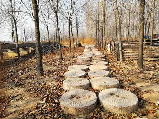 来五一农场，找寻光阴的故事(图12)