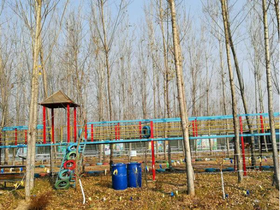 来五一农场，找寻光阴的故事(图13)