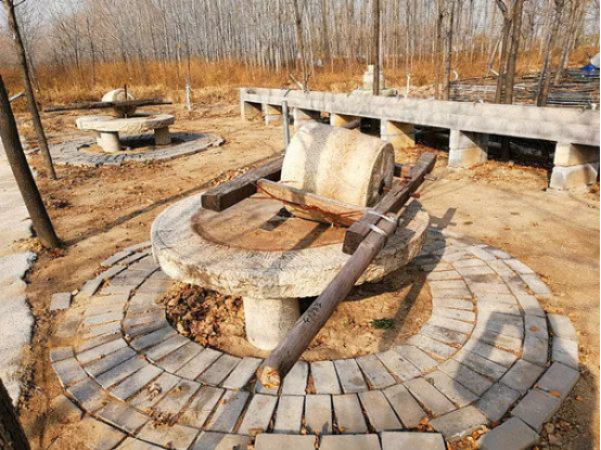 来五一农场，找寻光阴的故事(图15)