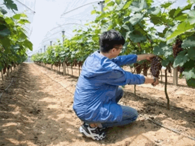 金秋重逢，相知威海！等你来，重享硕果(图1)