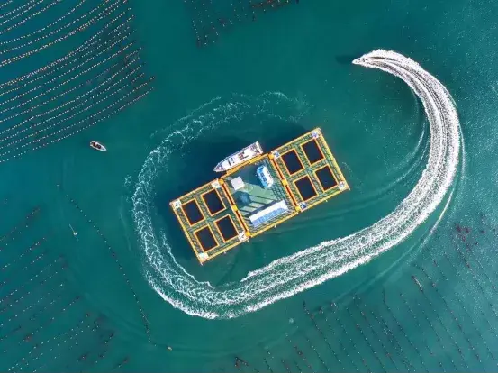 金秋重逢，相知威海！等你来，重享硕果(图4)