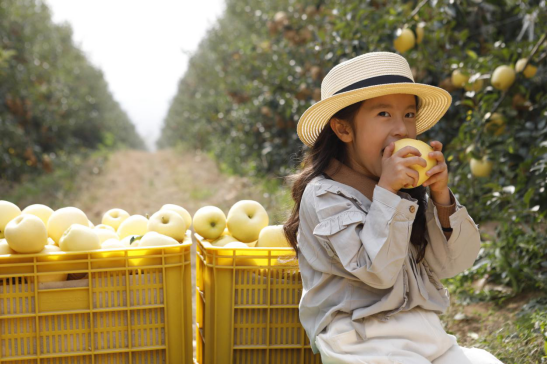 金秋重逢，相知威海！等你来，重享硕果(图8)