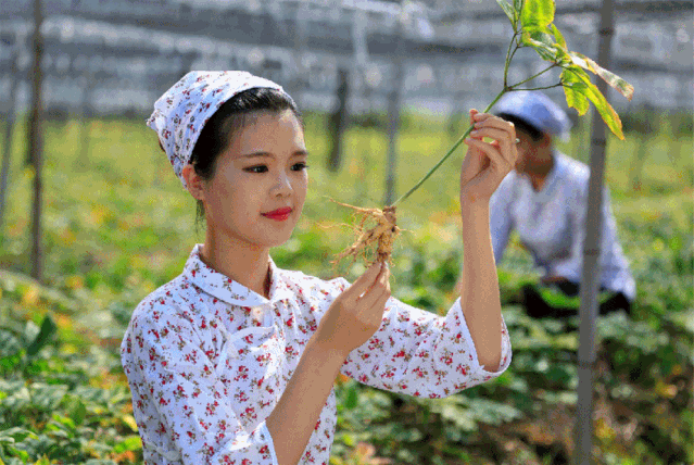 金秋重逢，相知威海！等你来，重享硕果(图10)