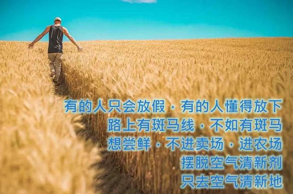 一份价值80万的农场营销文案，免费拿去！(图4)