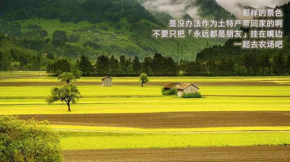 一份价值80万的农场营销文案，免费拿去！(图6)