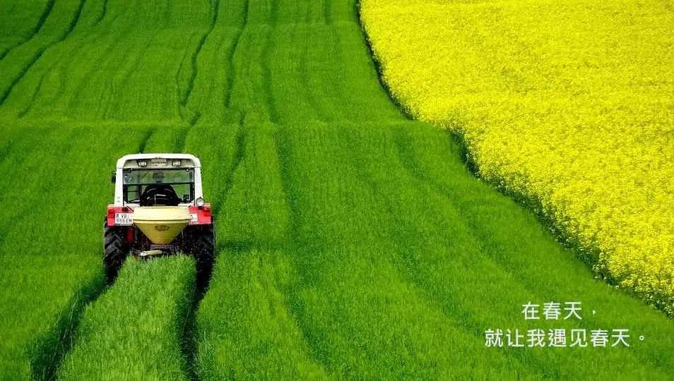 一份价值80万的农场营销文案，免费拿去！(图7)