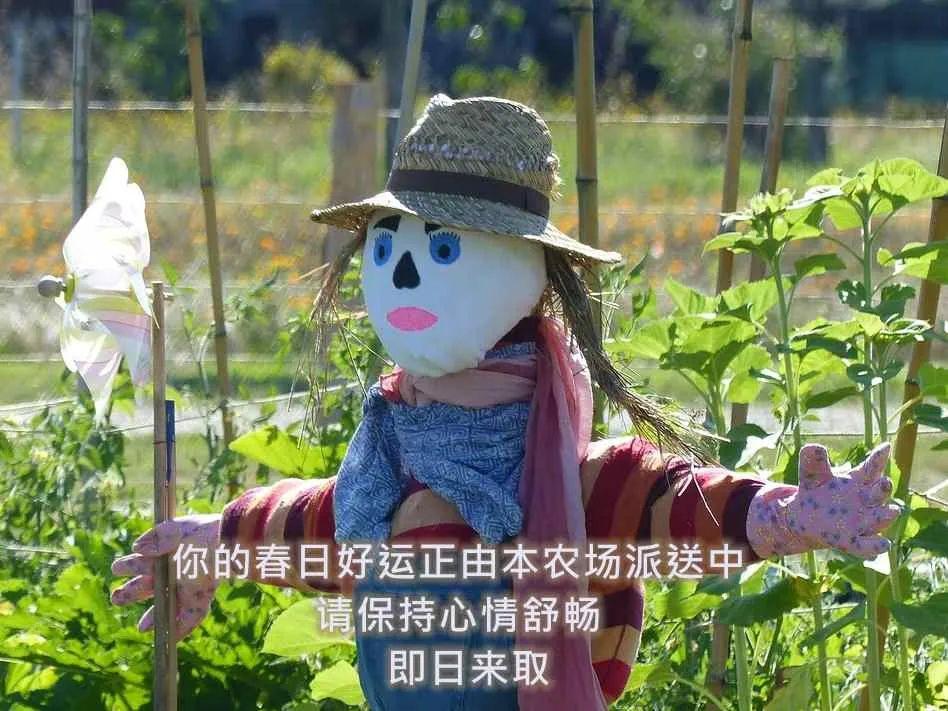 一份价值80万的农场营销文案，免费拿去！(图9)