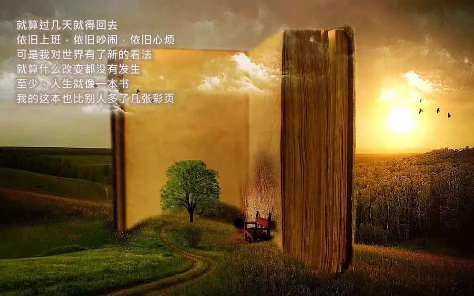 一份价值80万的农场营销文案，免费拿去！(图10)