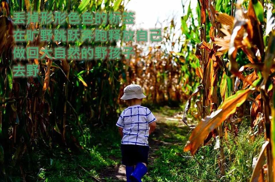 一份价值80万的农场营销文案，免费拿去！(图12)