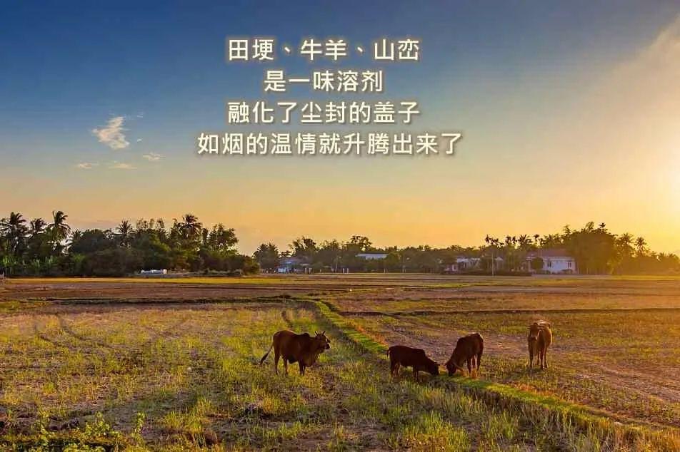 一份价值80万的农场营销文案，免费拿去！(图15)