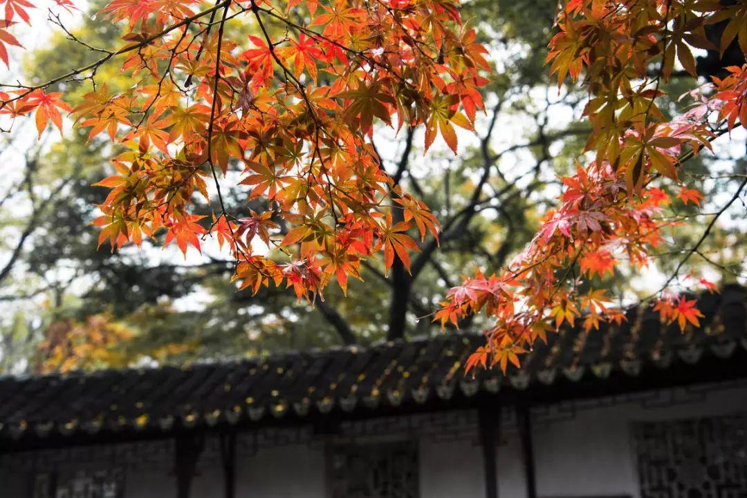 鲍鹏山：《论语》既是我们心中的道德，也是我们头顶的星空！(图2)