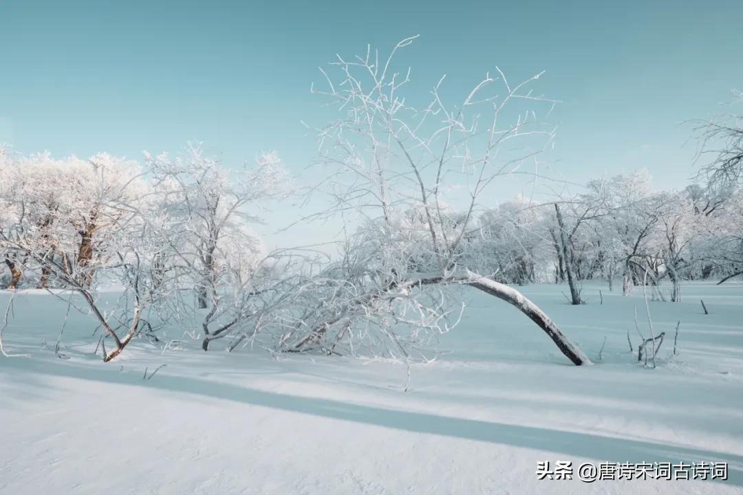 天冷了，记得添衣(图4)