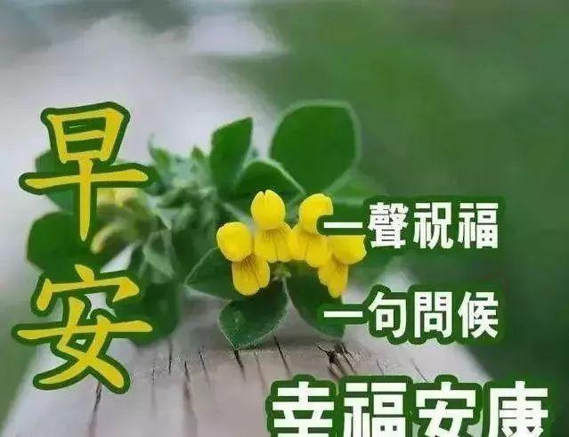 冬天的我对你的问候是最温暖的：天冷加衣，照顾好自己，早上好(图5)