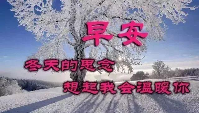 冬天的我对你的问候是最温暖的：天冷加衣，照顾好自己，早上好(图6)