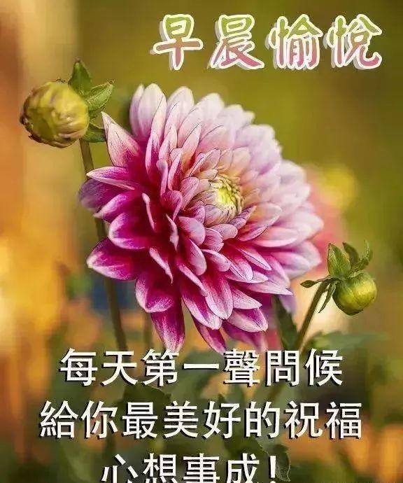 冬天的我对你的问候是最温暖的：天冷加衣，照顾好自己，早上好(图7)