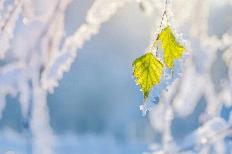 英文美句丨世界级绝美英文名著句子，赶快收藏！(图1)