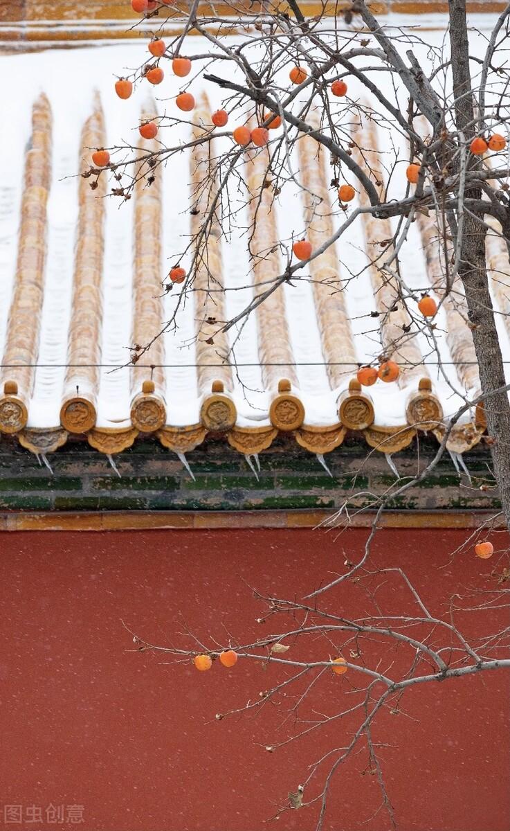 初雪：谁的前世，染指了微凉，谁的今生，执捻了落花(图1)