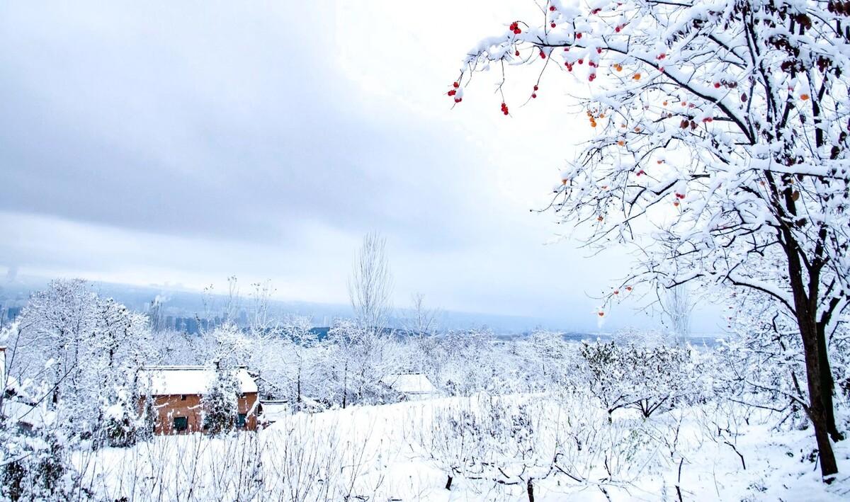 初雪：谁的前世，染指了微凉，谁的今生，执捻了落花(图4)