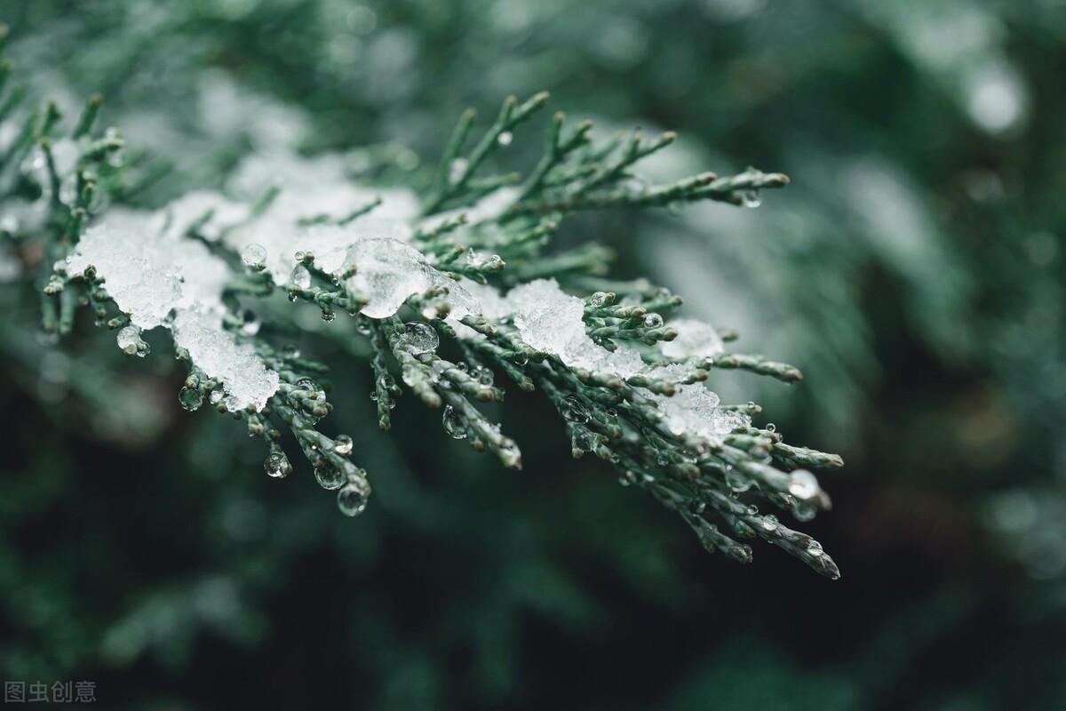 初雪：谁的前世，染指了微凉，谁的今生，执捻了落花(图7)