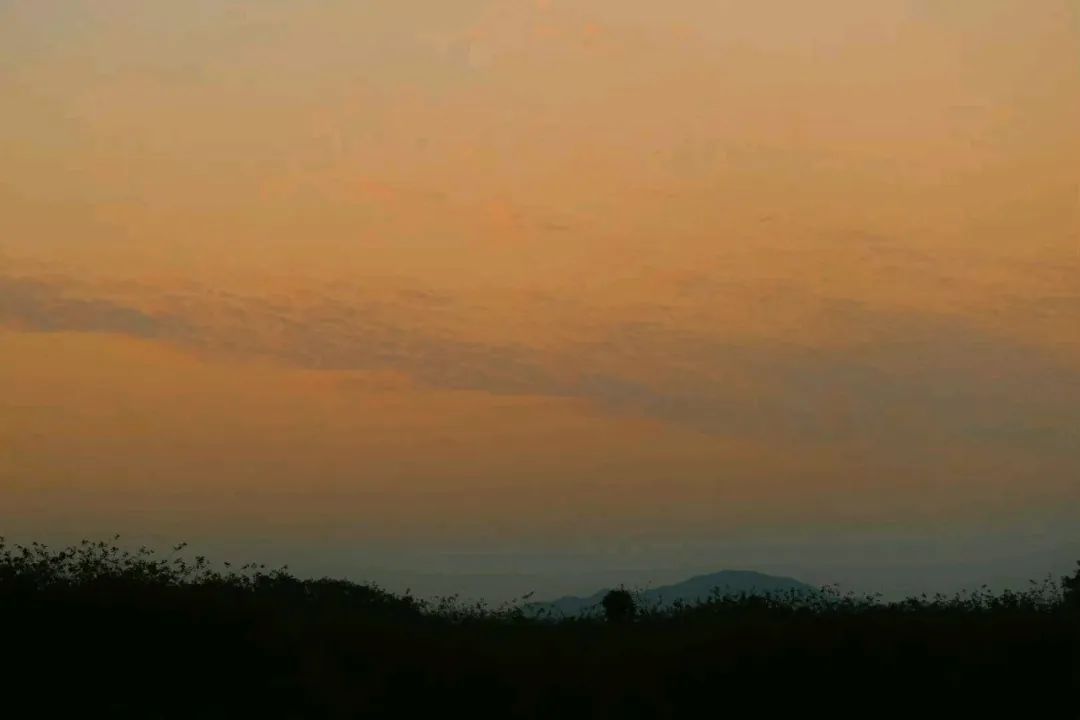 掌心的雪融化了，顺势指尖的温热(图1)