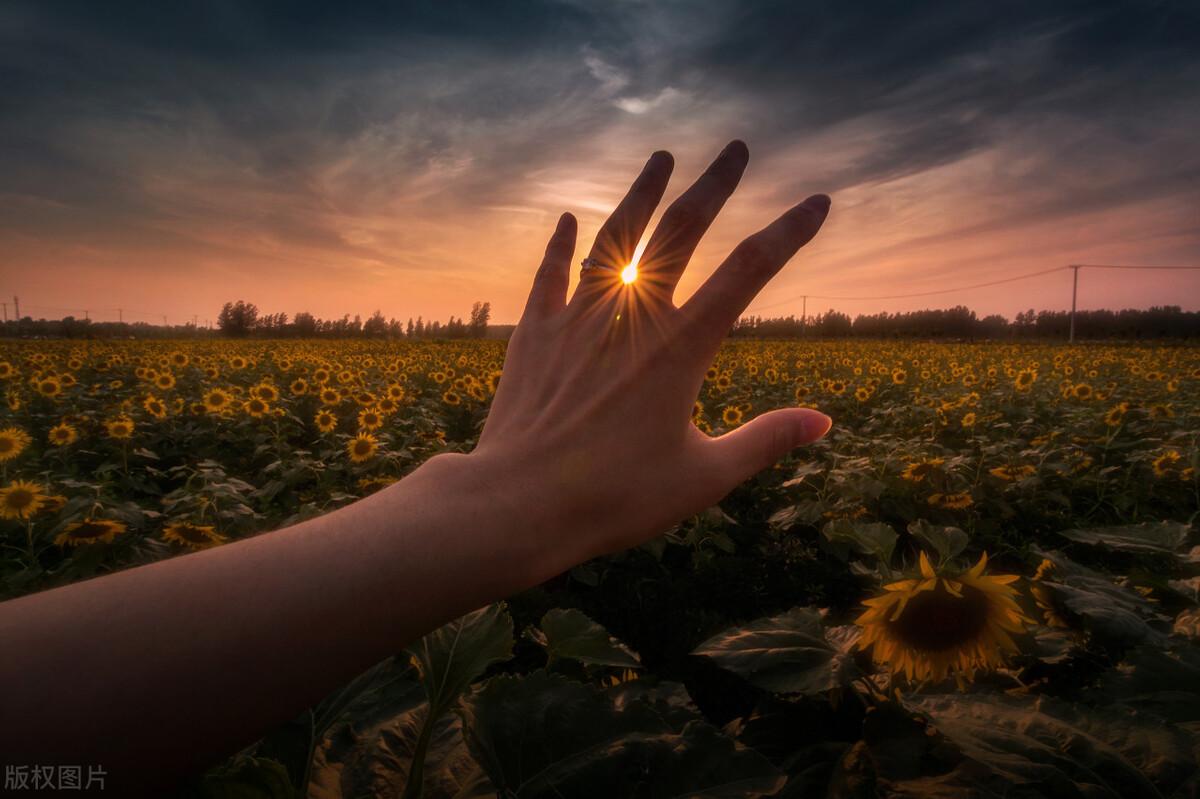 浮生若骄狂，何以安流年，愿时光不负，愿岁月可期(图2)